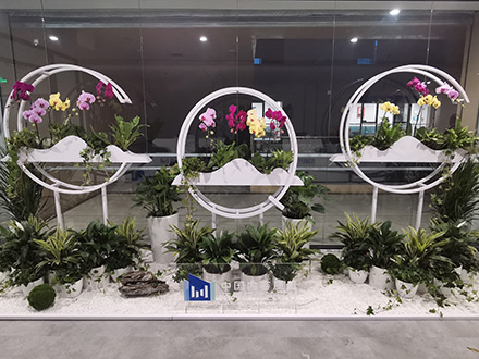 企業綠植租賃